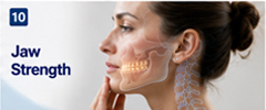How Does the Spine and Neck Impact Jaw Strength