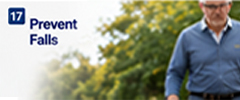 Falls Risk for Older Adults